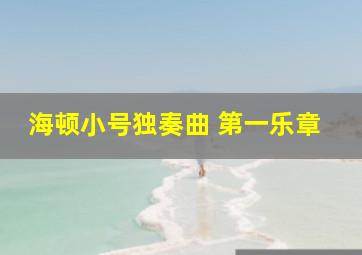 海顿小号独奏曲 第一乐章